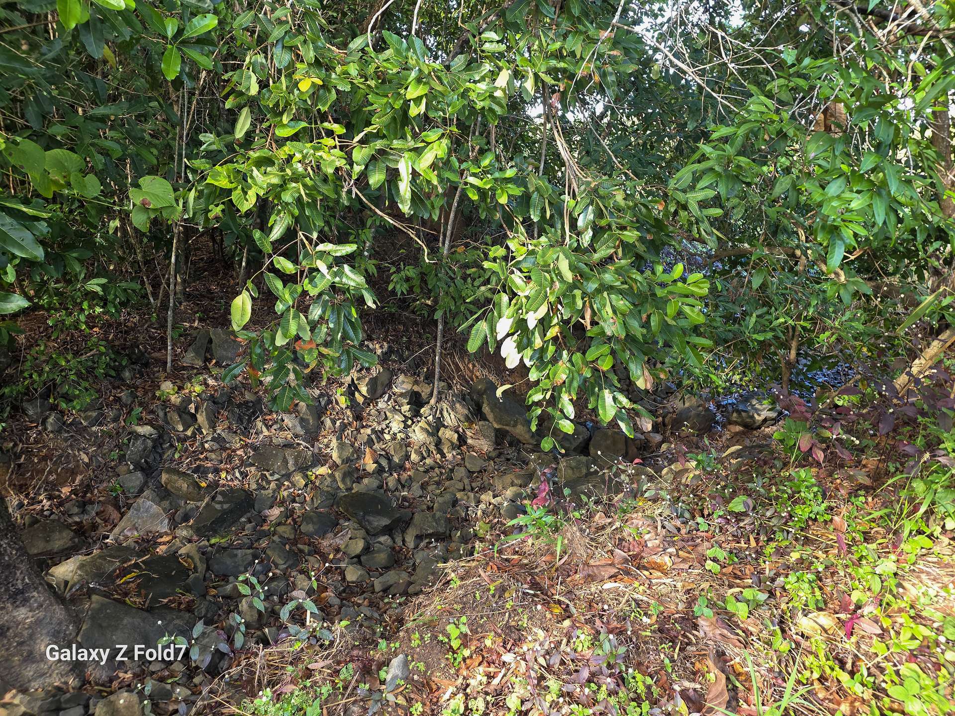 844 & 852 Endeavour Valley Road, Cooktown For Sale by Farmbuy.com - image 3
