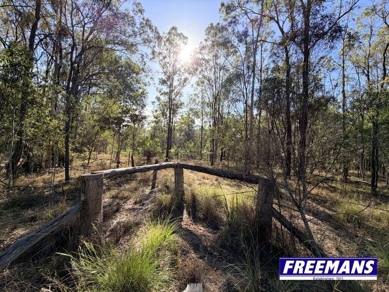 Lot 11, Curlew Road, Ballogie For Sale by Farmbuy.com - image 32