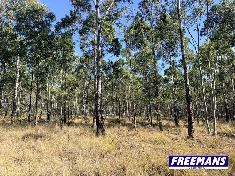 Lot 11, Curlew Road, Ballogie For Sale by Farmbuy.com - image 29