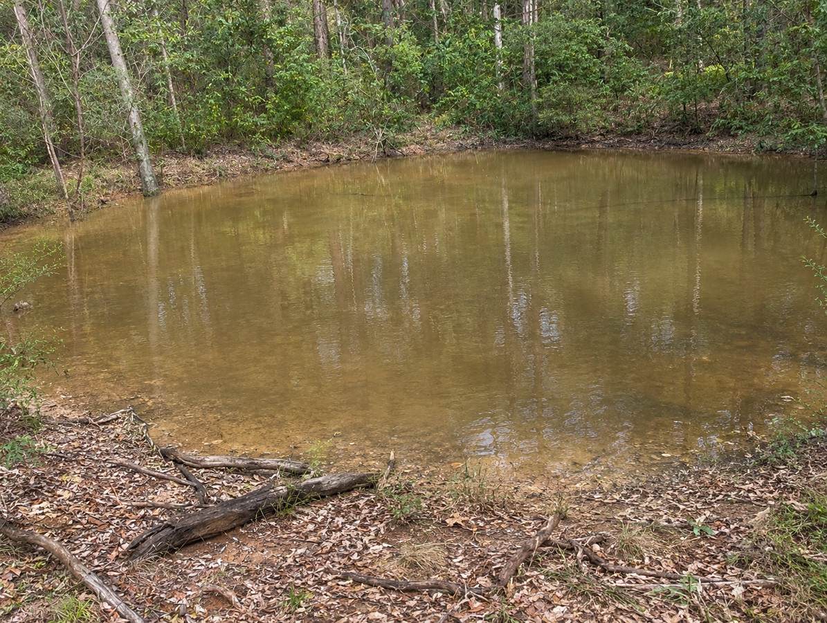 506 Old Lawrence Rd ( Via Cherry Tree ), Deep Creek For Sale by Farmbuy.com - image 6