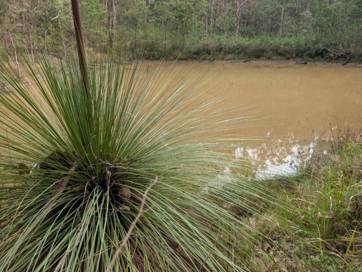 506 Old Lawrence Rd ( Via Cherry Tree ), Deep Creek For Sale by Farmbuy.com - image 13