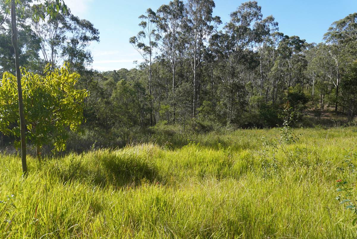 506 Old Lawrence Rd ( Via Cherry Tree ), Deep Creek For Sale by Farmbuy.com - image 11