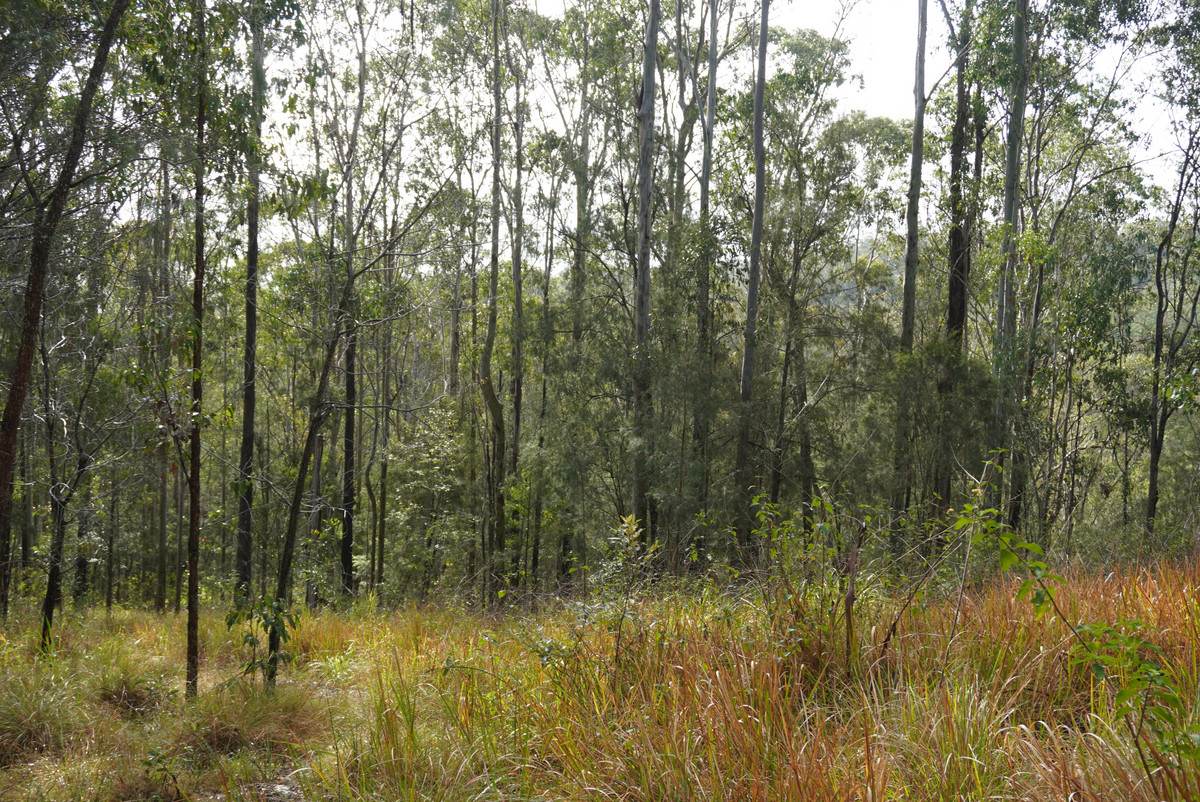 506 Old Lawrence Rd ( Via Cherry Tree ), Deep Creek For Sale by Farmbuy.com - image 26