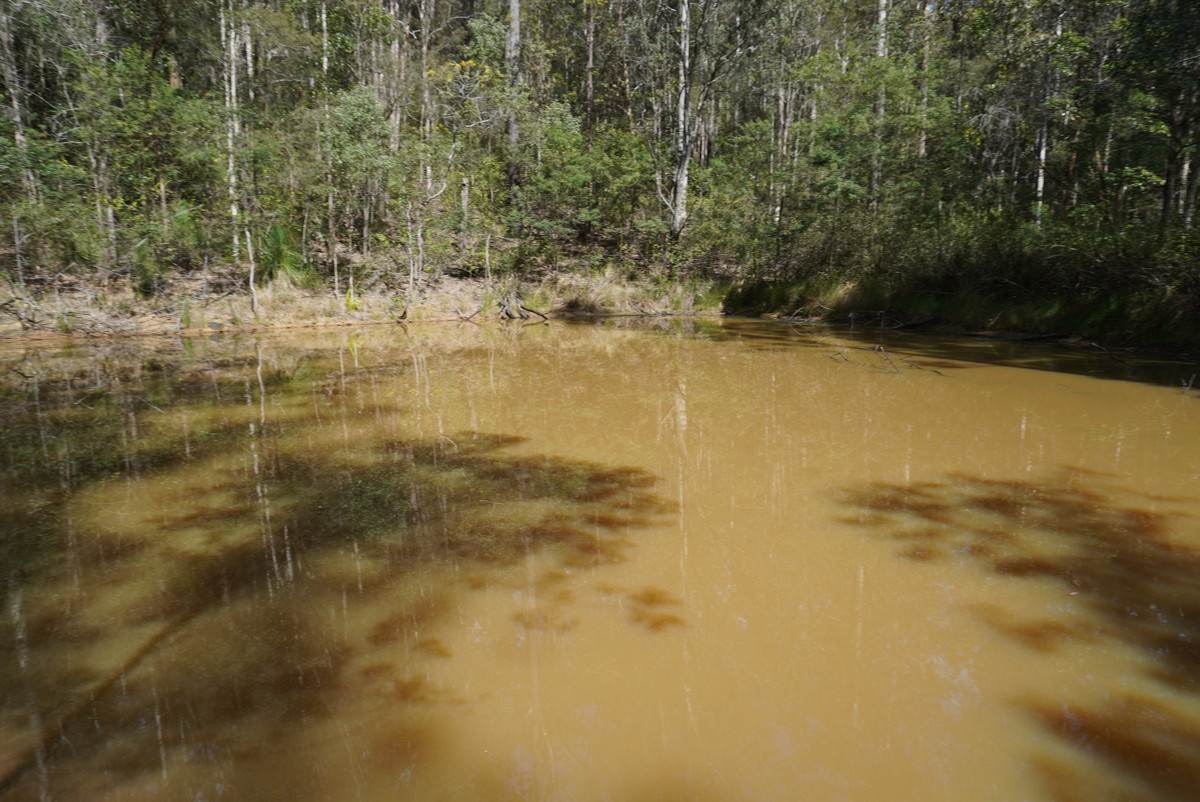 506 Old Lawrence Rd ( Via Cherry Tree ), Deep Creek For Sale by Farmbuy.com - image 3