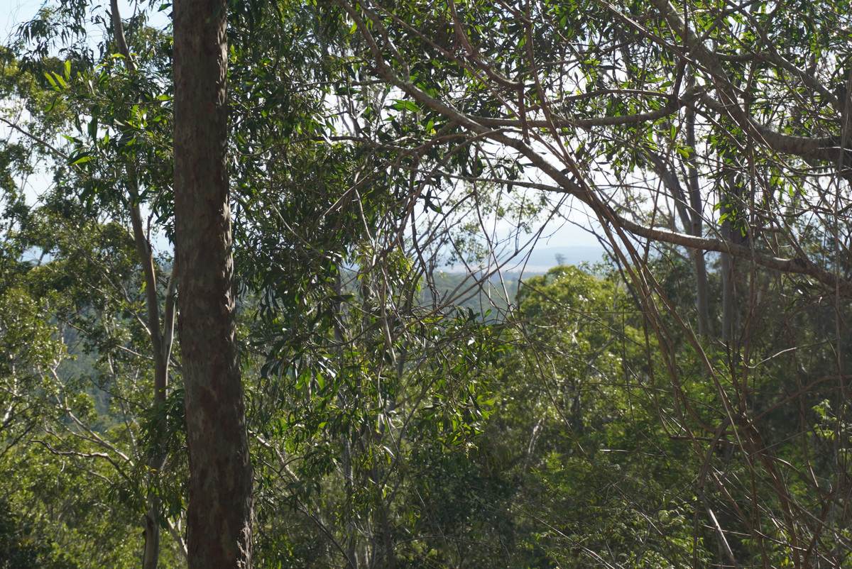 506 Old Lawrence Rd ( Via Cherry Tree ), Deep Creek For Sale by Farmbuy.com - image 29
