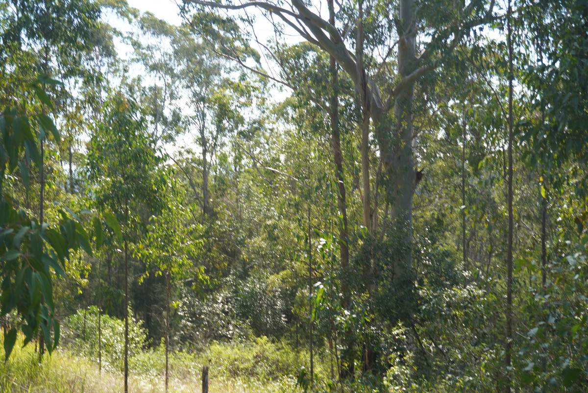 506 Old Lawrence Rd ( Via Cherry Tree ), Deep Creek For Sale by Farmbuy.com - image 21