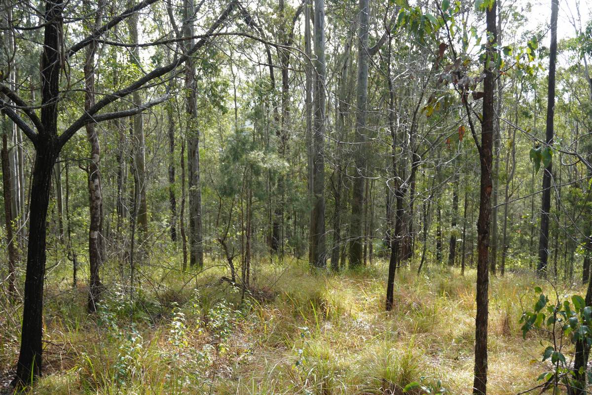 506 Old Lawrence Rd ( Via Cherry Tree ), Deep Creek For Sale by Farmbuy.com - image 35