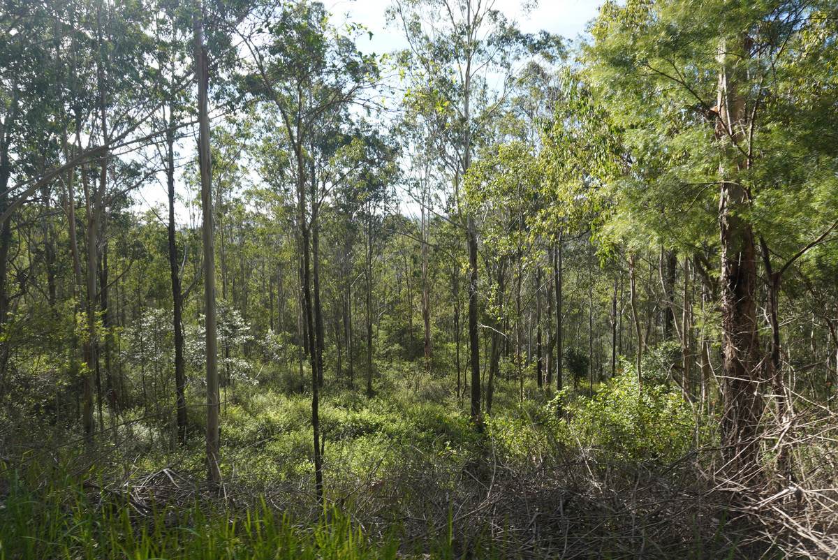 506 Old Lawrence Rd ( Via Cherry Tree ), Deep Creek For Sale by Farmbuy.com - image 28