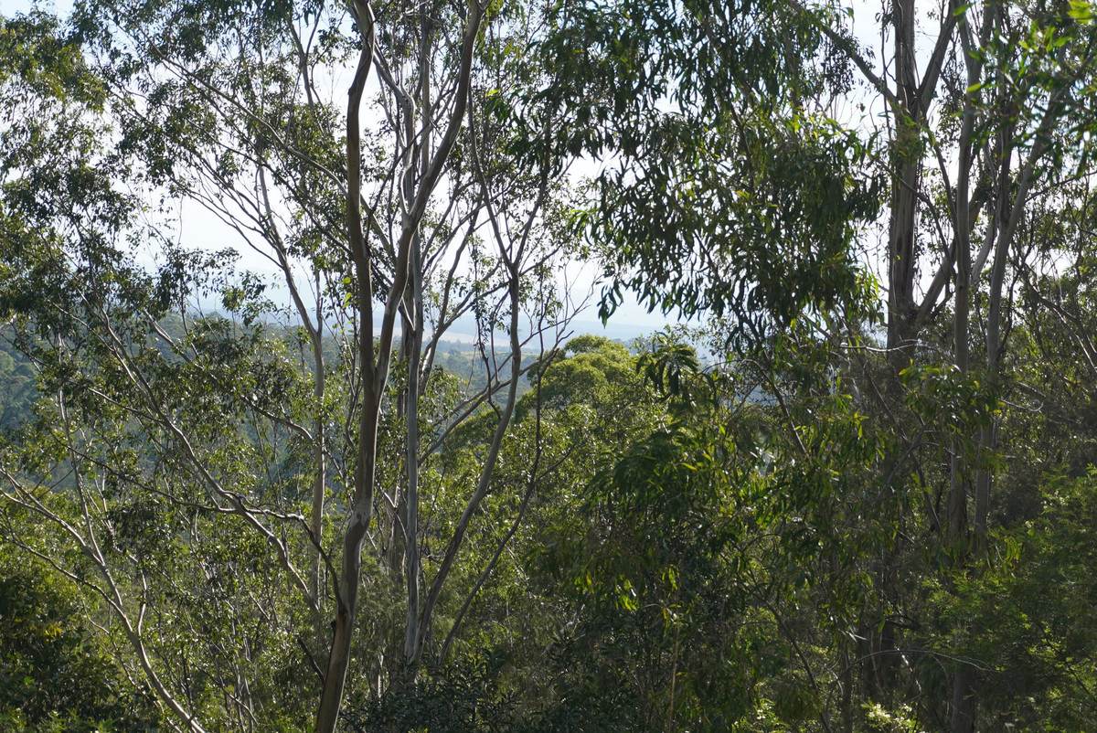506 Old Lawrence Rd ( Via Cherry Tree ), Deep Creek For Sale by Farmbuy.com - image 25