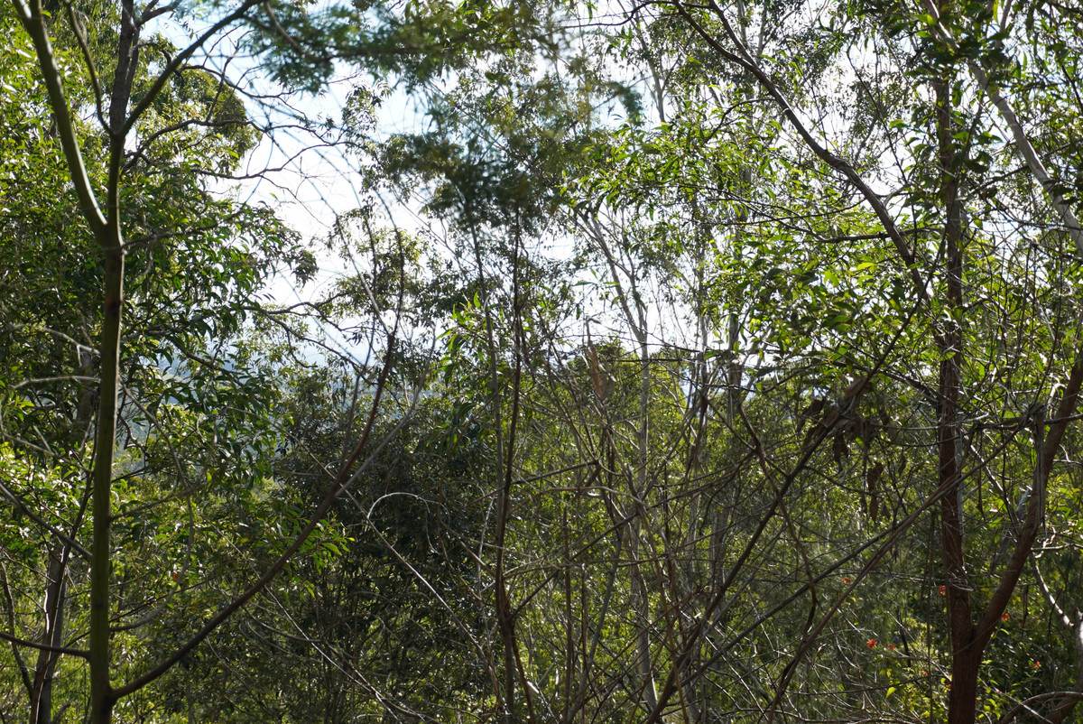506 Old Lawrence Rd ( Via Cherry Tree ), Deep Creek For Sale by Farmbuy.com - image 32