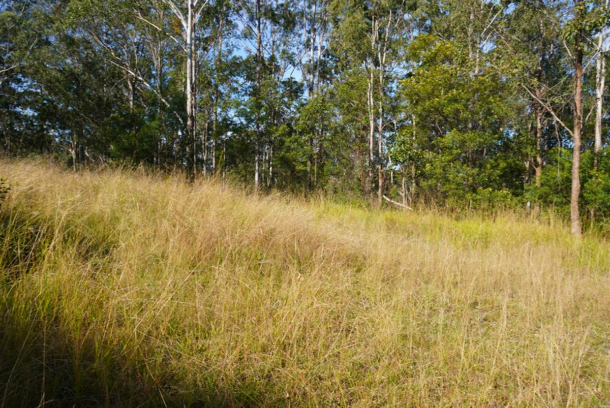 506 Old Lawrence Rd ( Via Cherry Tree ), Deep Creek For Sale by Farmbuy.com - image 8