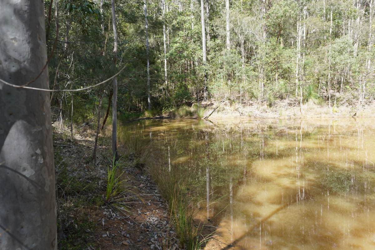 506 Old Lawrence Rd ( Via Cherry Tree ), Deep Creek For Sale by Farmbuy.com - image 33