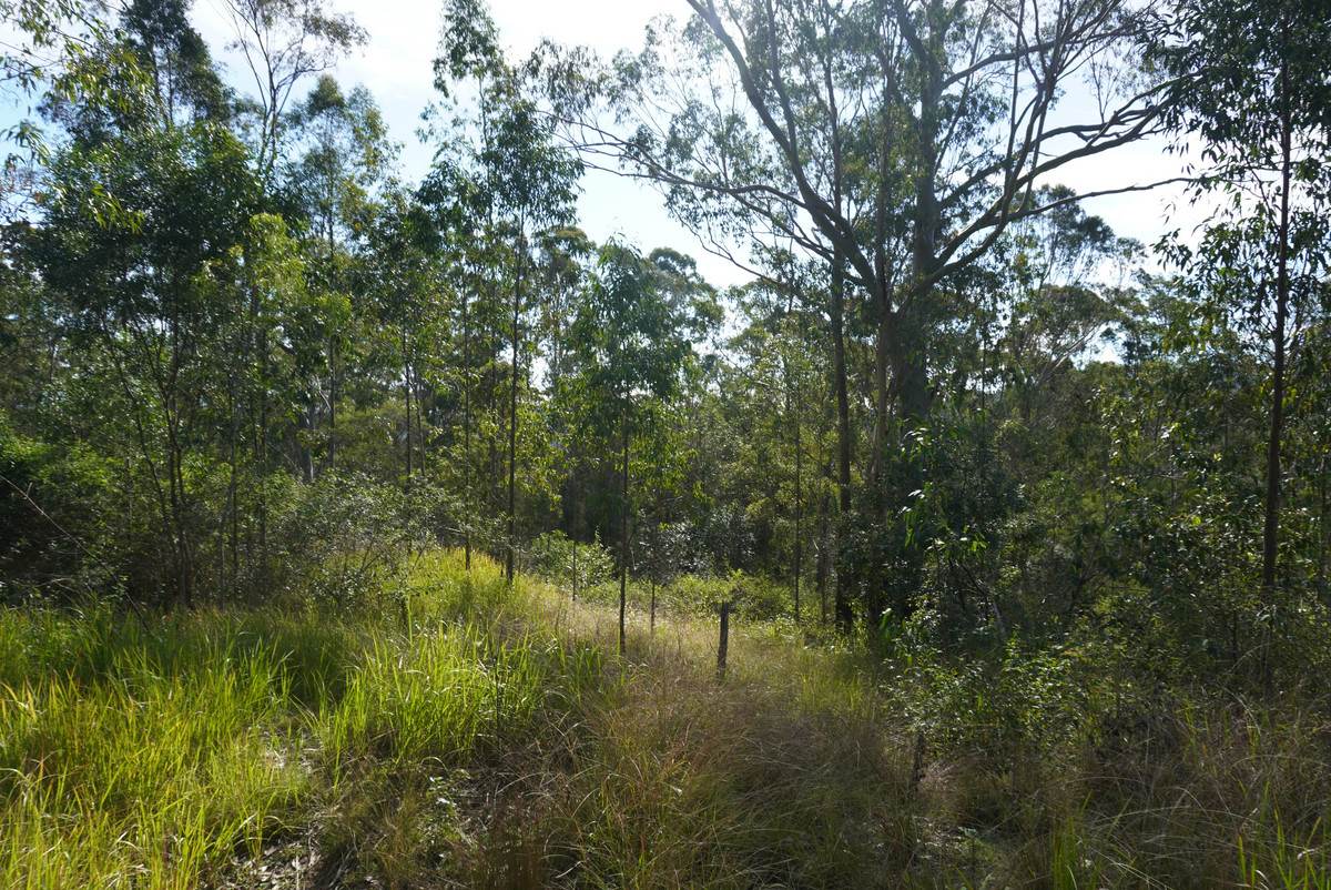 506 Old Lawrence Rd ( Via Cherry Tree ), Deep Creek For Sale by Farmbuy.com - image 21