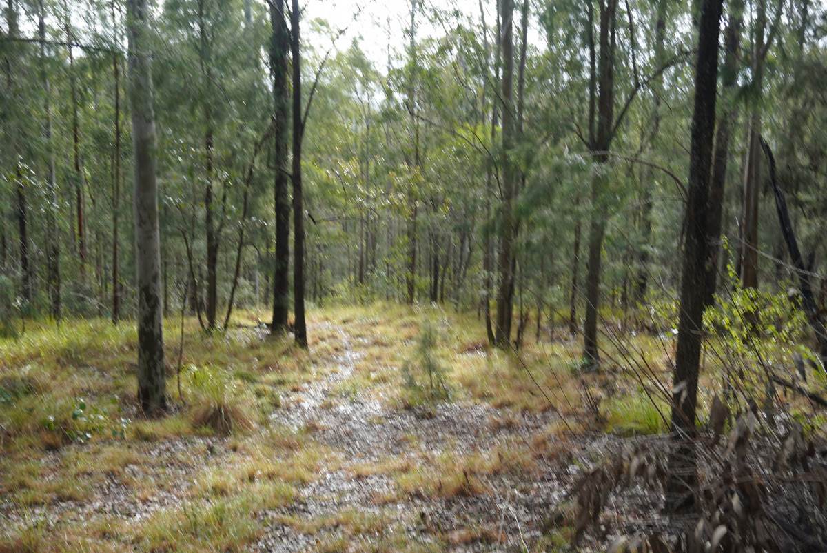 506 Old Lawrence Rd ( Via Cherry Tree ), Deep Creek For Sale by Farmbuy.com - image 30