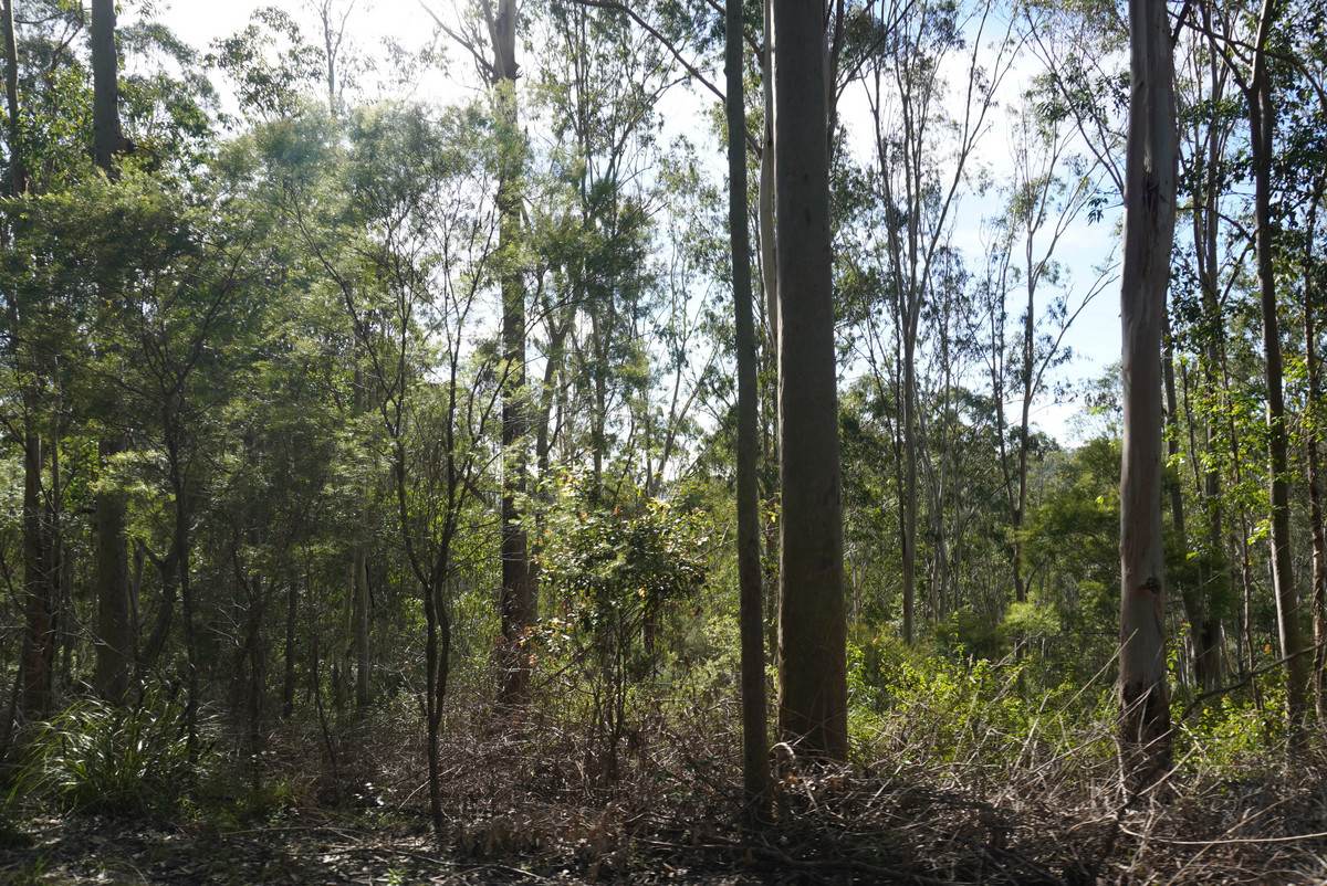 506 Old Lawrence Rd ( Via Cherry Tree ), Deep Creek For Sale by Farmbuy.com - image 34
