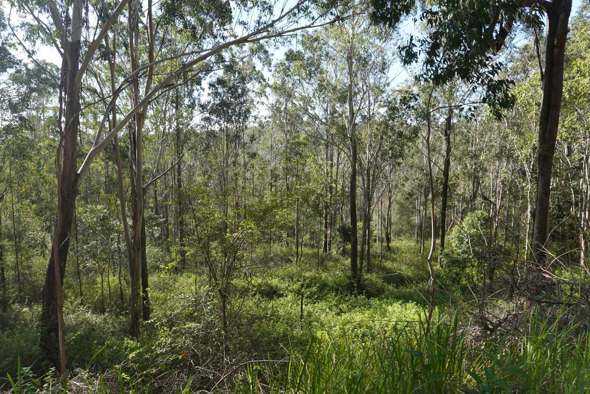 506 Old Lawrence Rd ( Via Cherry Tree ), Deep Creek For Sale by Farmbuy.com - image 31