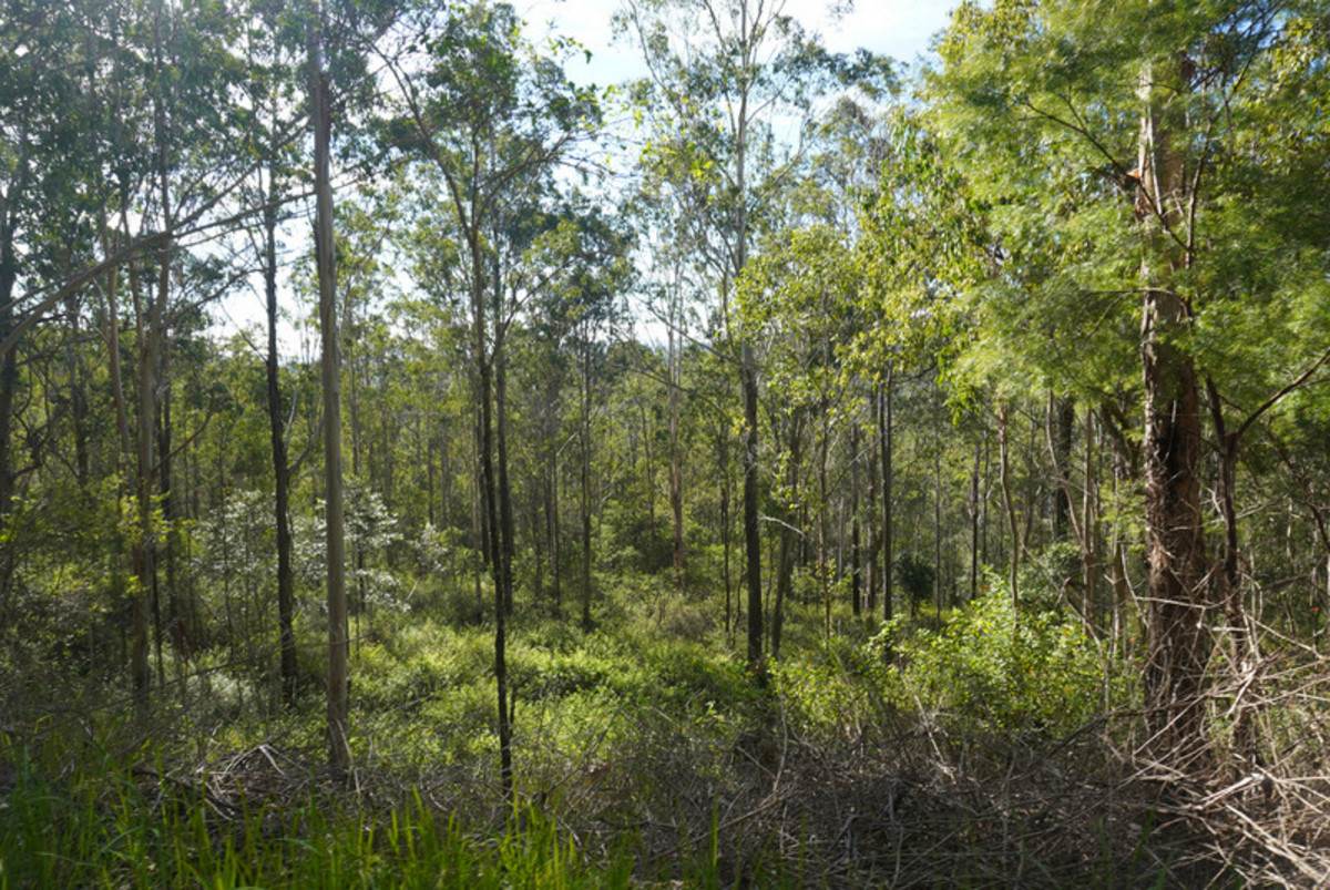 506 Old Lawrence Rd ( Via Cherry Tree ), Deep Creek For Sale by Farmbuy.com - image 26
