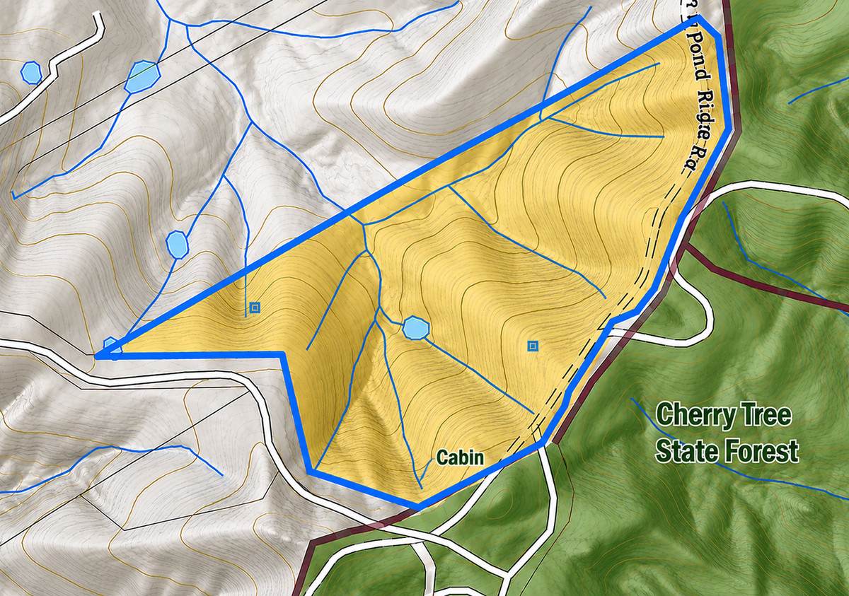 506 Old Lawrence Rd ( Via Cherry Tree ), Deep Creek For Sale by Farmbuy.com - image 4