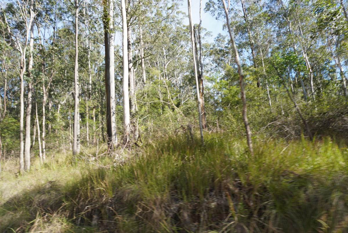 506 Old Lawrence Rd ( Via Cherry Tree ), Deep Creek For Sale by Farmbuy.com - image 33