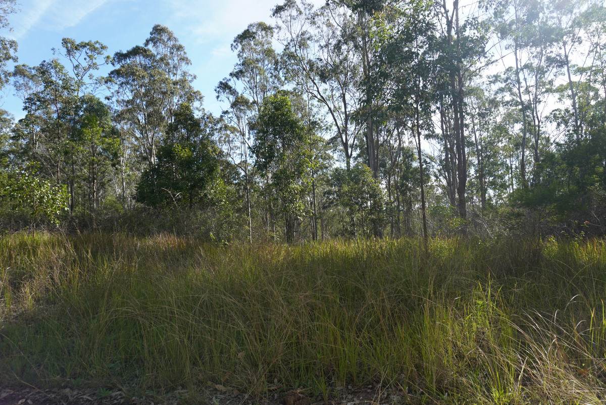 506 Old Lawrence Rd ( Via Cherry Tree ), Deep Creek For Sale by Farmbuy.com - image 31