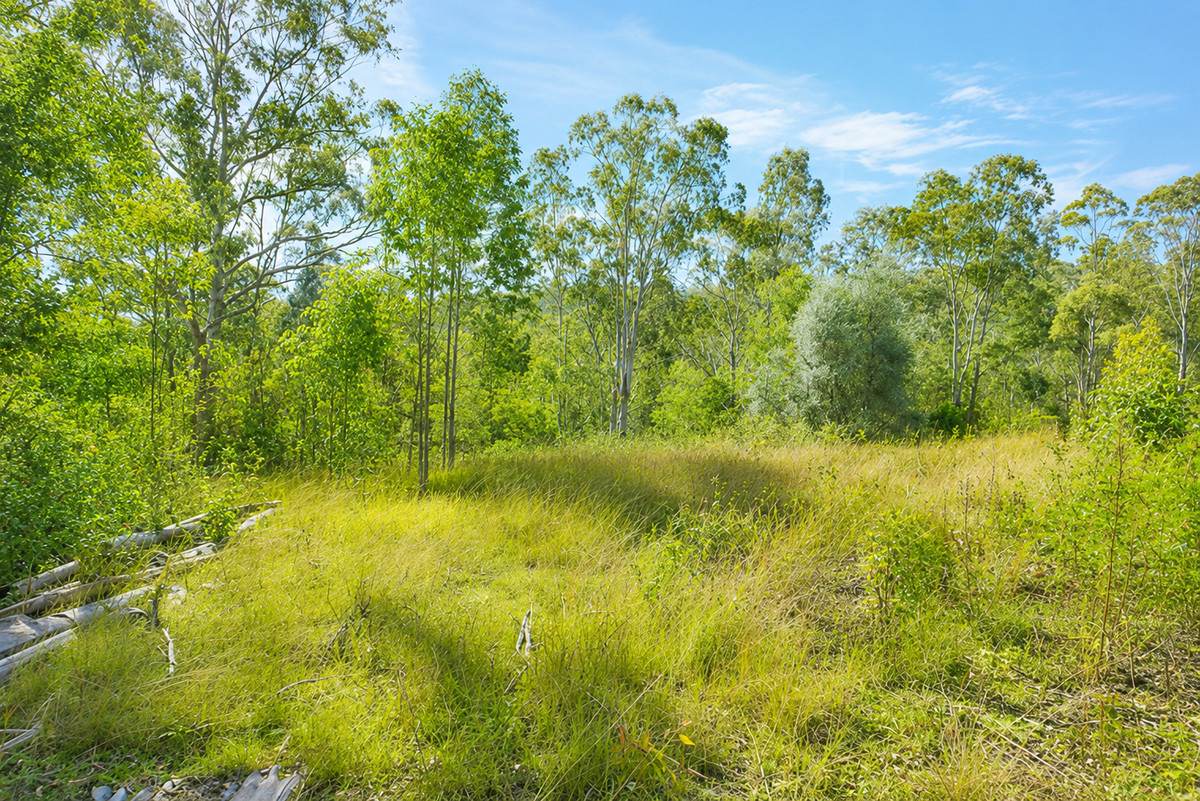 506 Old Lawrence Rd ( Via Cherry Tree ), Deep Creek For Sale by Farmbuy.com - image 18