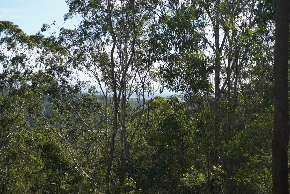 506 Old Lawrence Rd ( Via Cherry Tree ), Deep Creek For Sale by Farmbuy.com - image 27