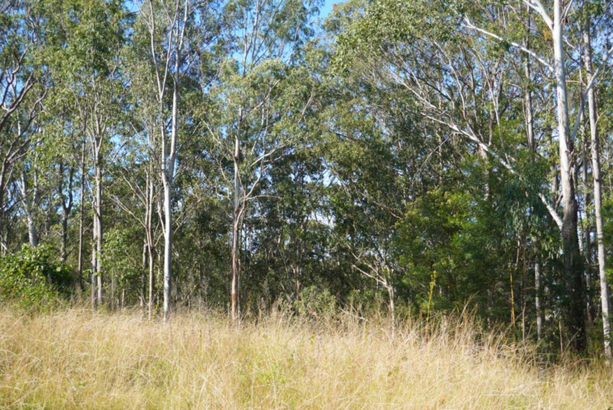 506 Old Lawrence Rd ( Via Cherry Tree ), Deep Creek For Sale by Farmbuy.com - image 29