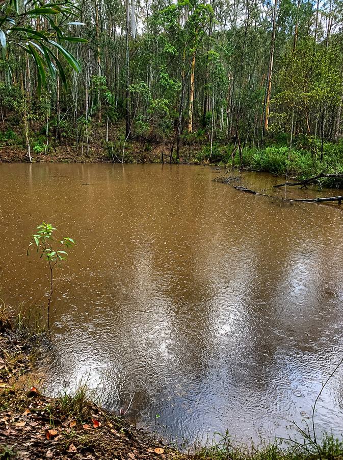506 Old Lawrence Rd ( Via Cherry Tree ), Deep Creek For Sale by Farmbuy.com - image 7