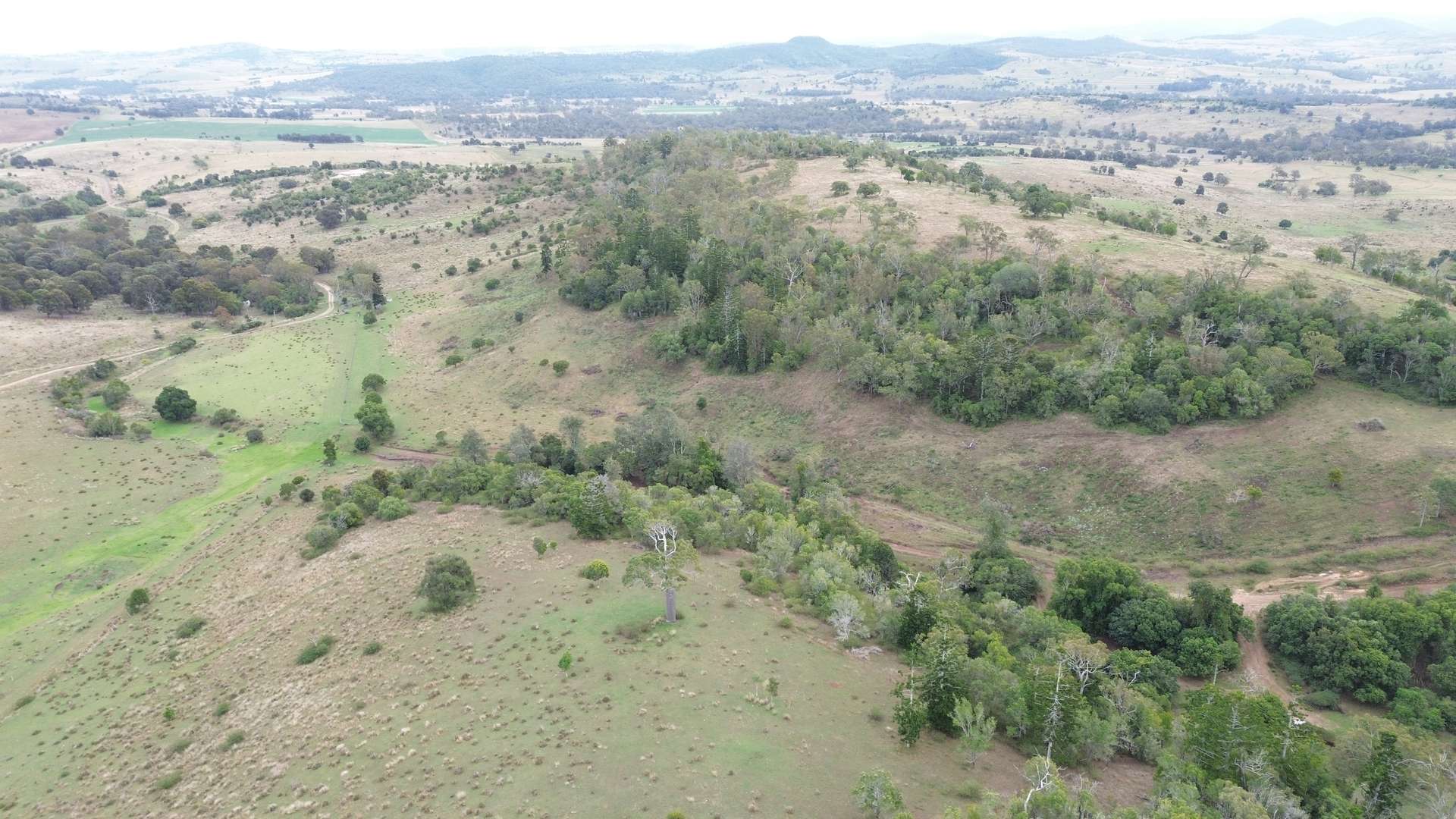 368 Woodleigh Nutgrove Road, Maclagan For Sale by Farmbuy.com - image 20