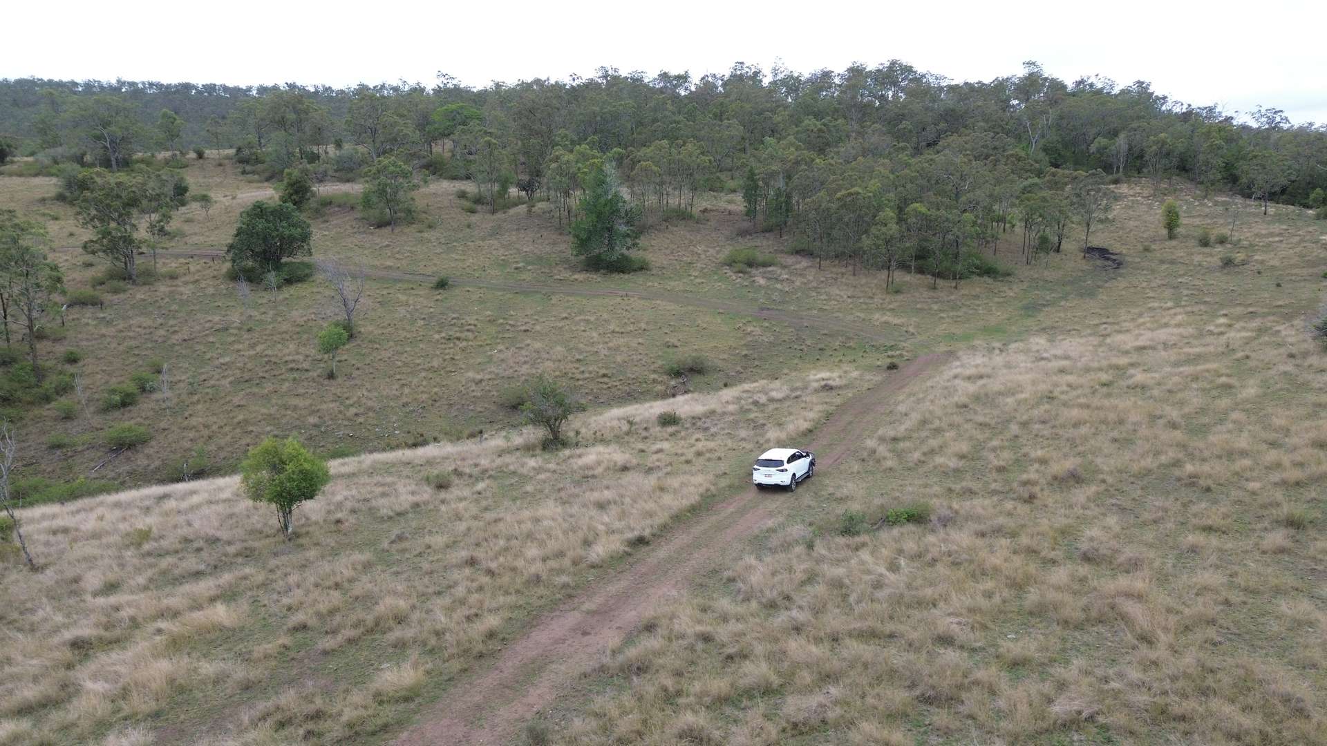368 Woodleigh Nutgrove Road, Maclagan For Sale by Farmbuy.com - image 14