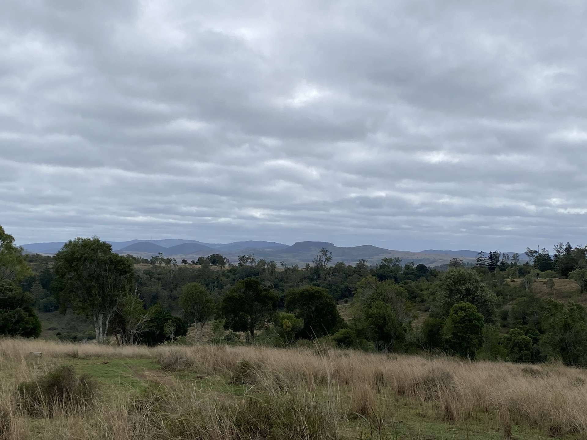368 Woodleigh Nutgrove Road, Maclagan For Sale by Farmbuy.com - image 19