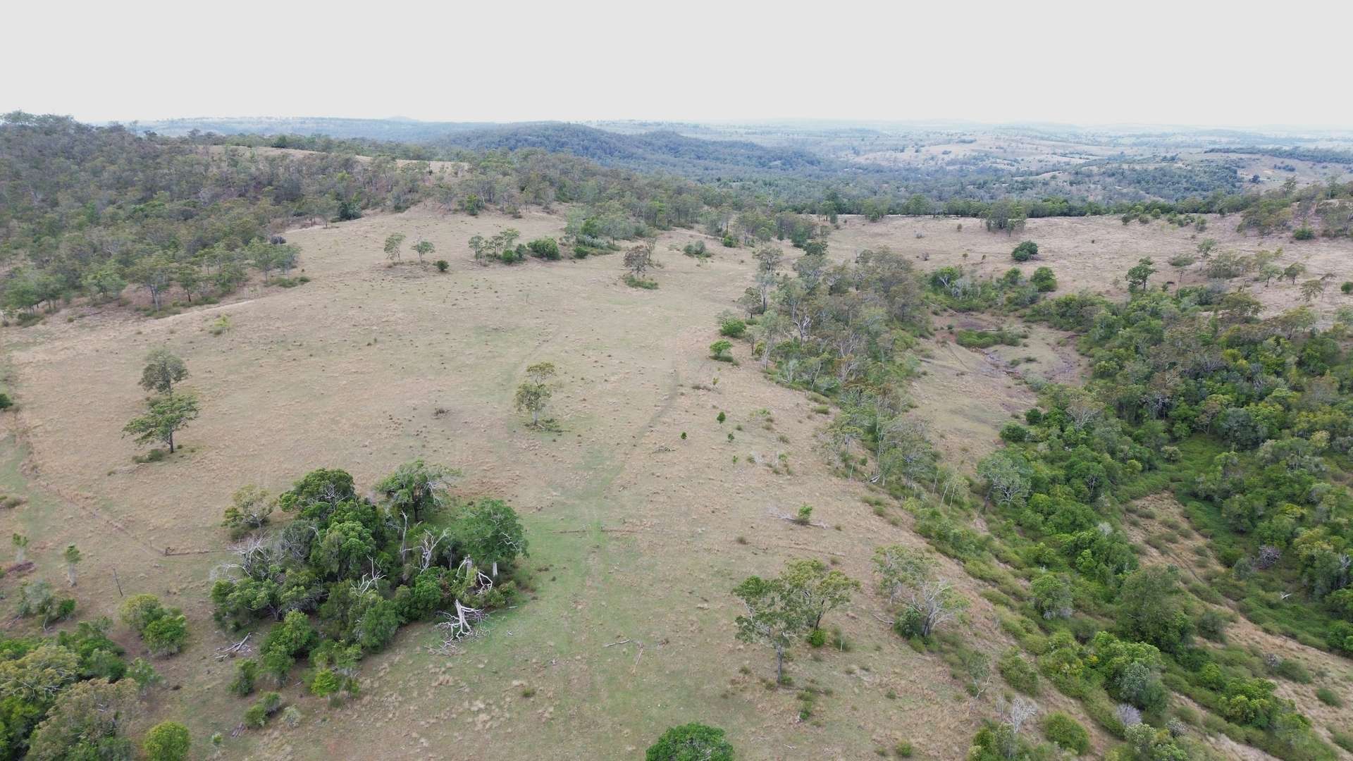 368 Woodleigh Nutgrove Road, Maclagan For Sale by Farmbuy.com - image 18
