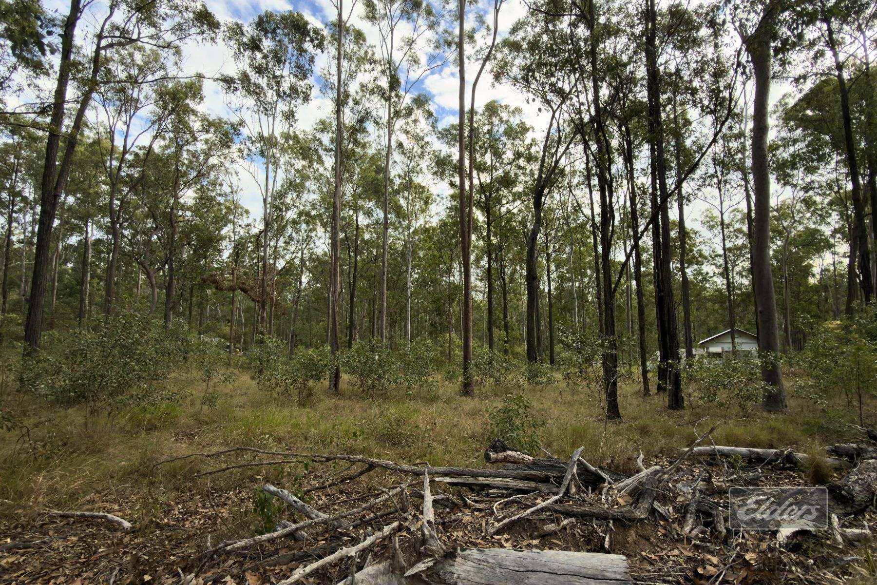 Lot 822,  Arborthirty One Road, Glenwood For Sale by Farmbuy.com - image 6