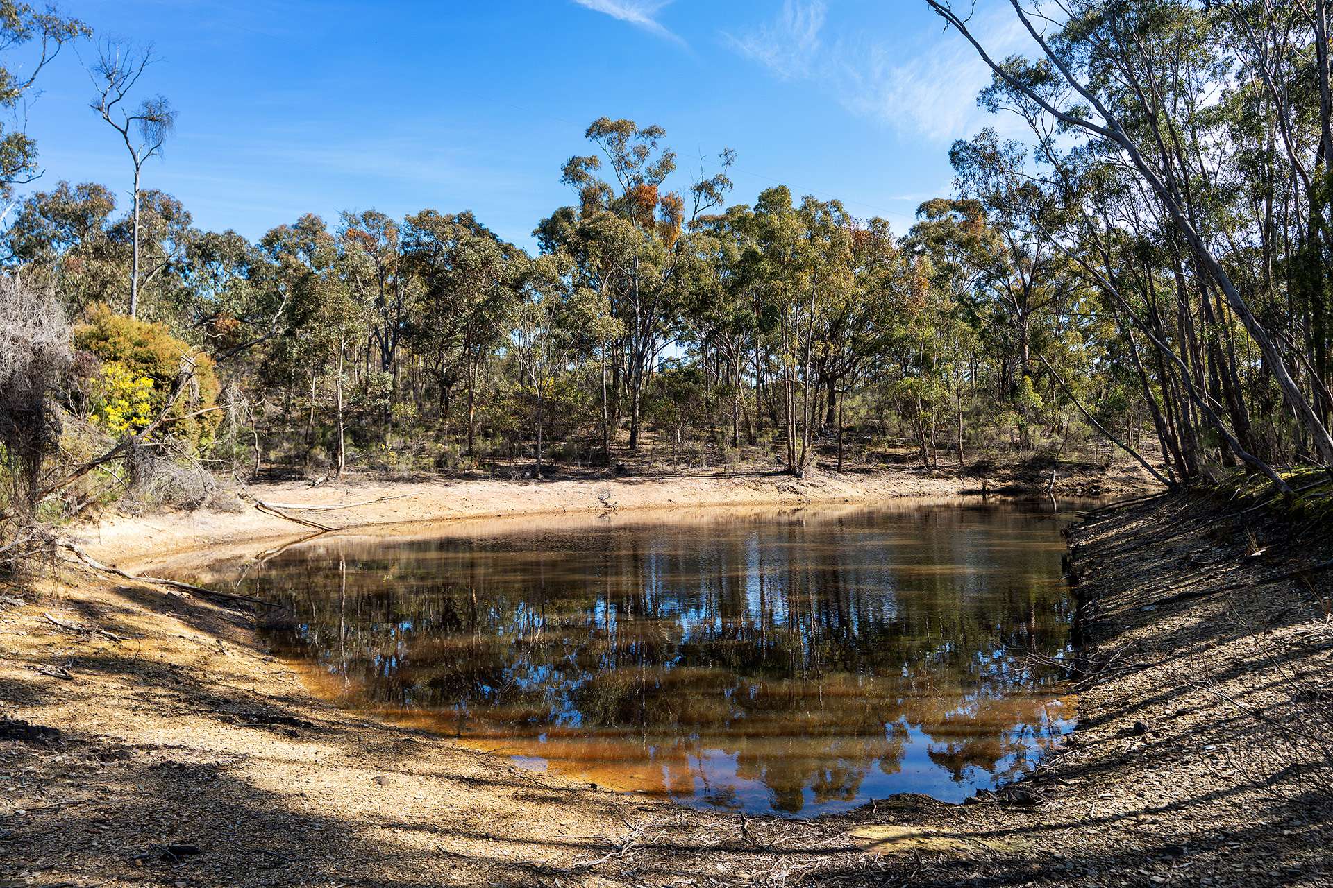 40 Sheldon Track, Fryerstown For Sale by Farmbuy.com - image 9