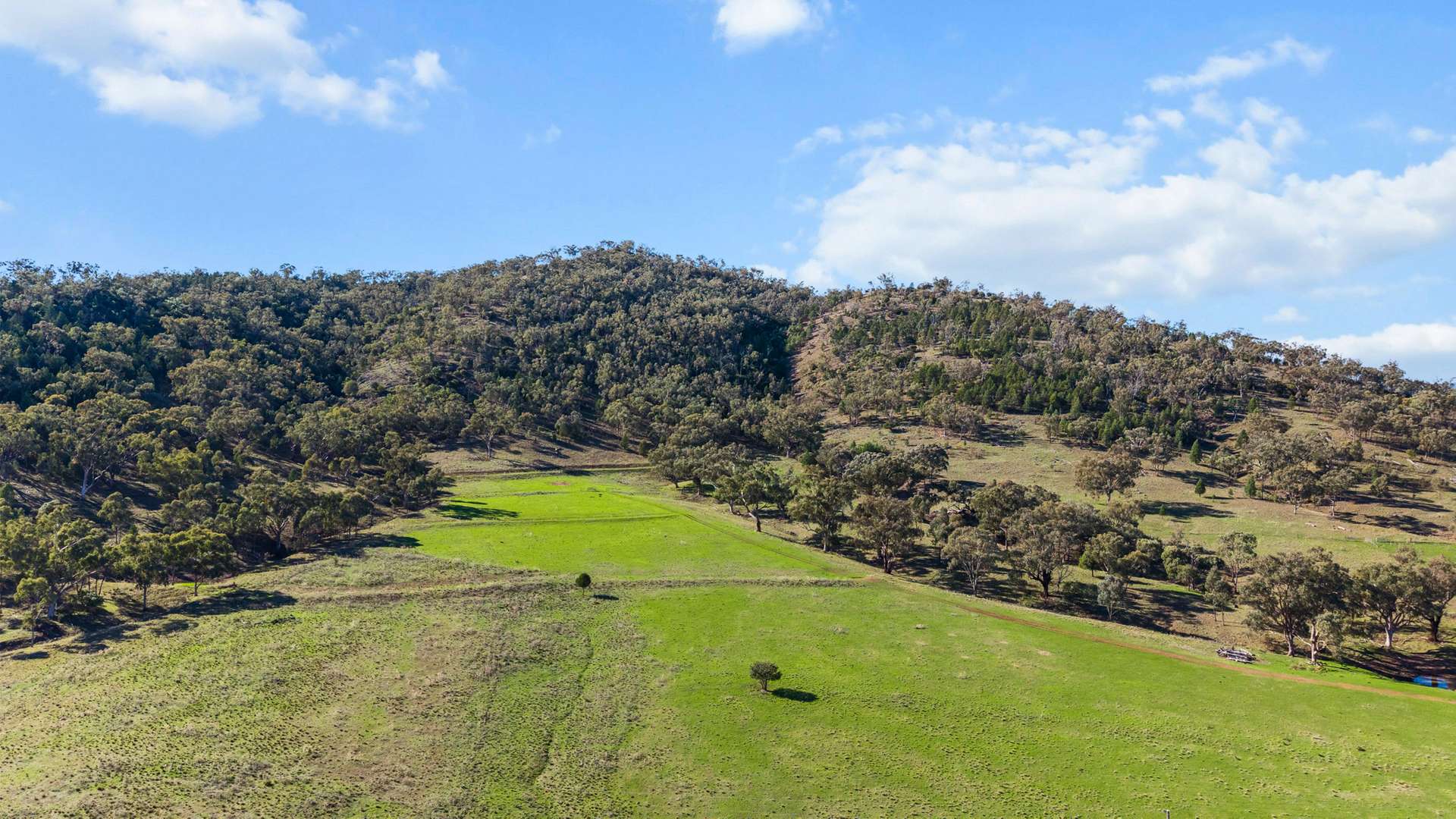 29 Echo Hills Road, Werris Creek For Sale by Farmbuy.com - image 23