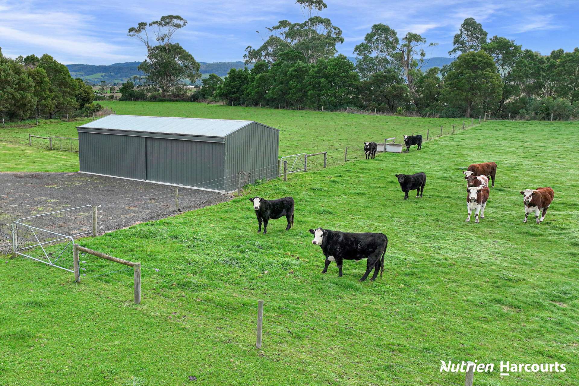 761 Gelliondale Road, Jack River For Sale by Farmbuy.com - image 20