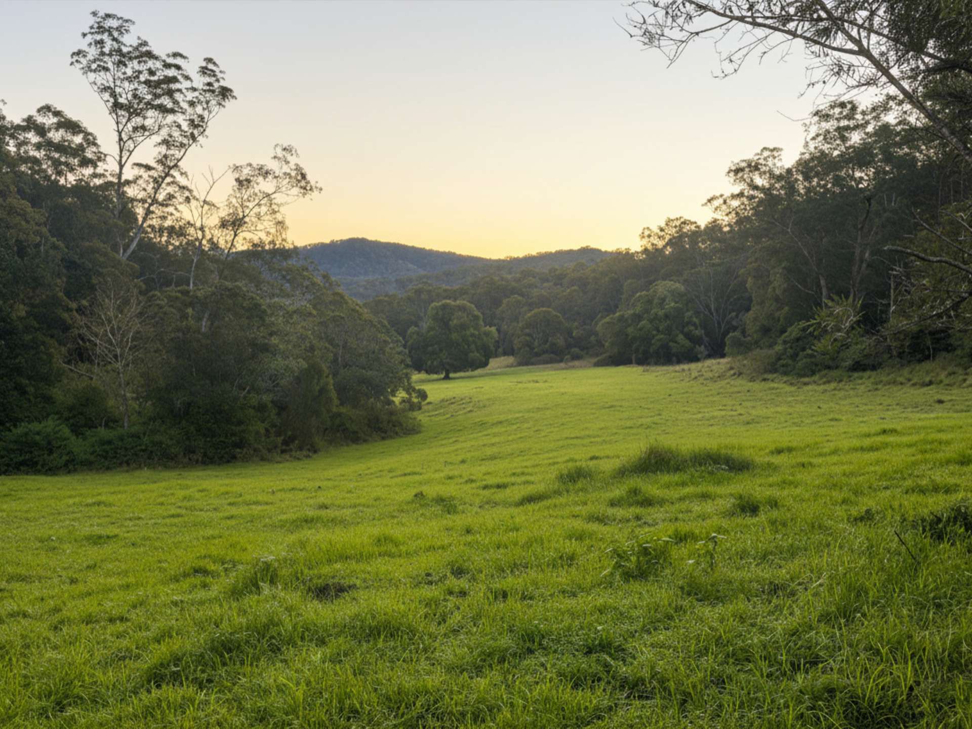 1379 Mount View Road, Millfield For Sale by Farmbuy.com - image 33