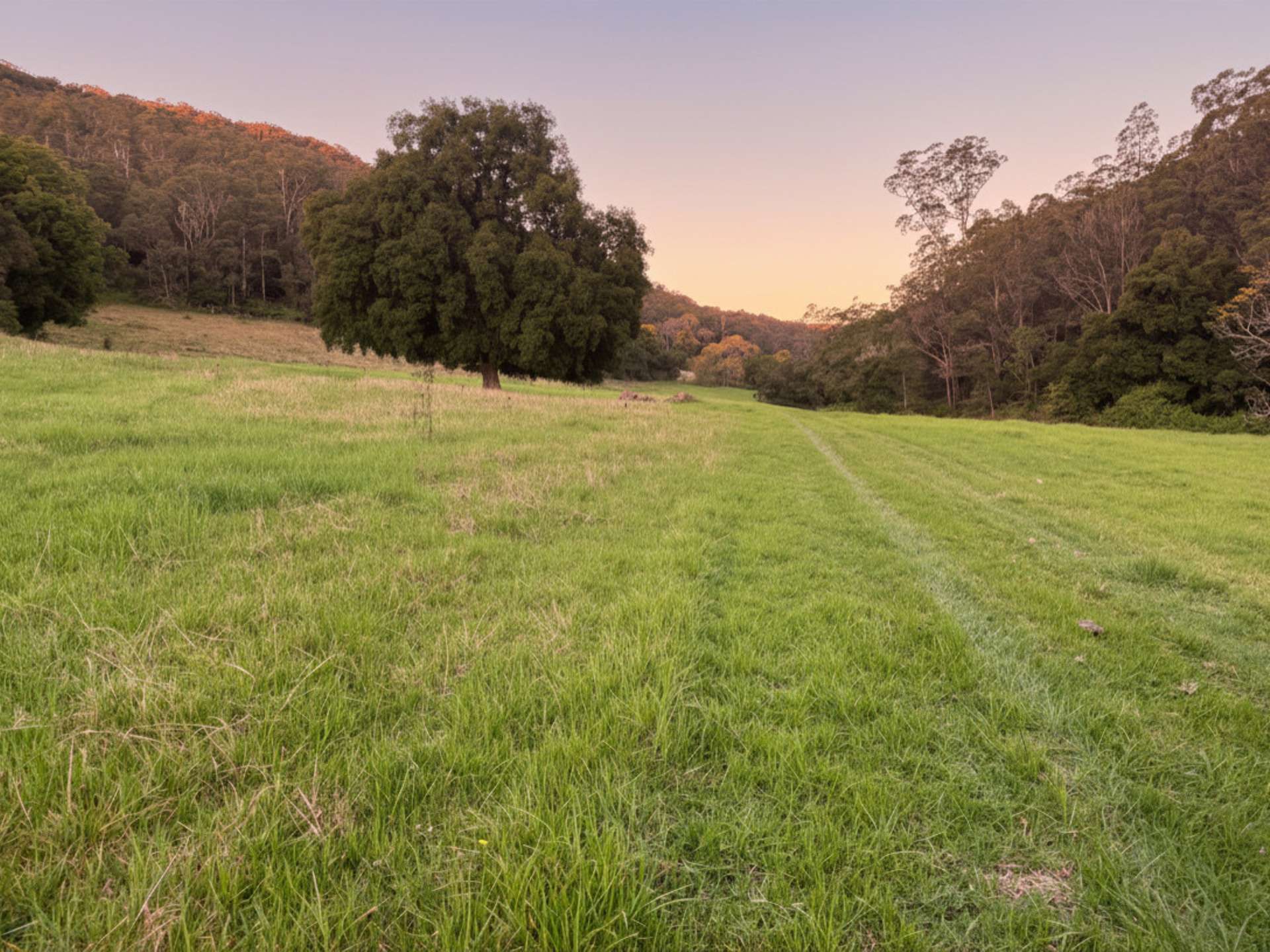 1379 Mount View Road, Millfield For Sale by Farmbuy.com - image 32