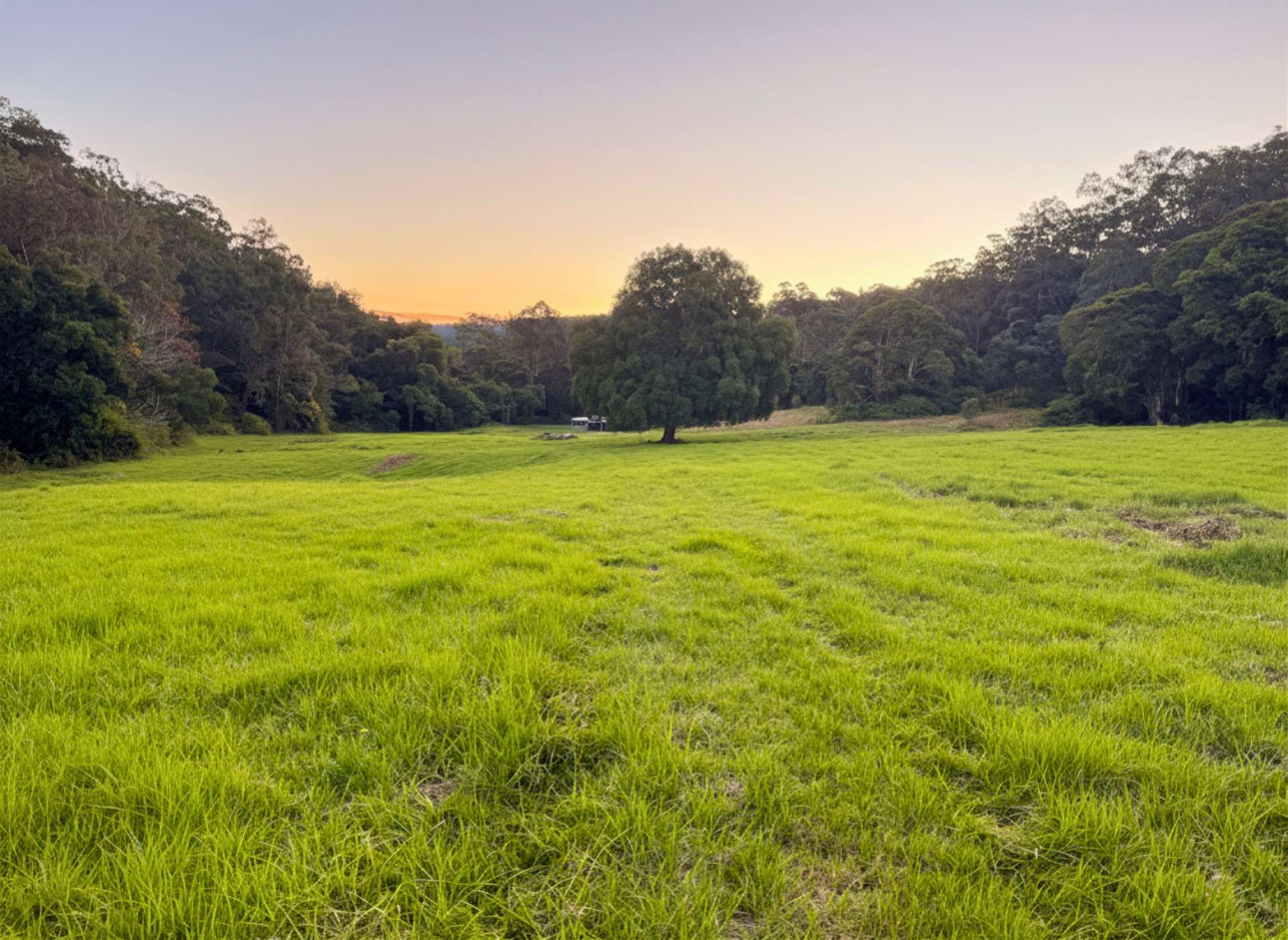 1379 Mount View Road, Millfield For Sale by Farmbuy.com - image 7