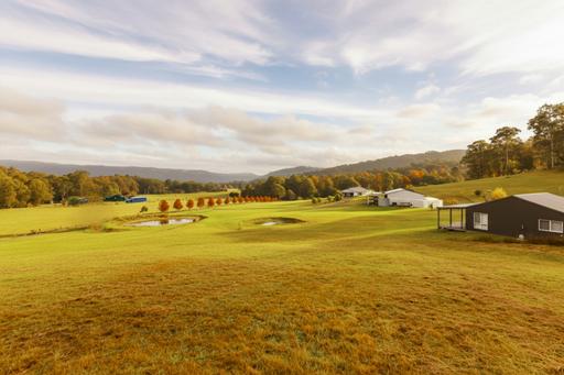 Farm For Sale - NSW - Millfield - 2325 - Spectacular Acreage with a Country Homestead and Two Separate Studios 