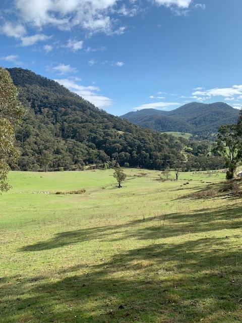 Part 1420 Goobarragandra Road, Tumut For Sale by Farmbuy.com - image 3
