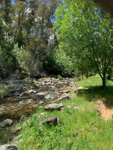 Part 1420 Goobarragandra Road, Tumut For Sale by Farmbuy.com - image 4