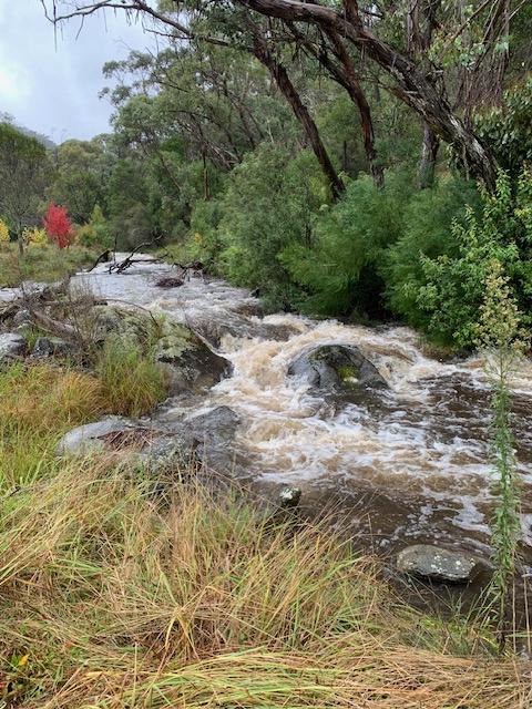 Part 1420 Goobarragandra Road, Tumut For Sale by Farmbuy.com - image 6
