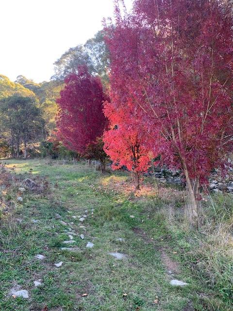 Part 1420 Goobarragandra Road, Tumut For Sale by Farmbuy.com - image 10