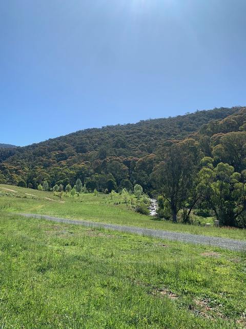 Part 1420 Goobarragandra Road, Tumut For Sale by Farmbuy.com - image 2