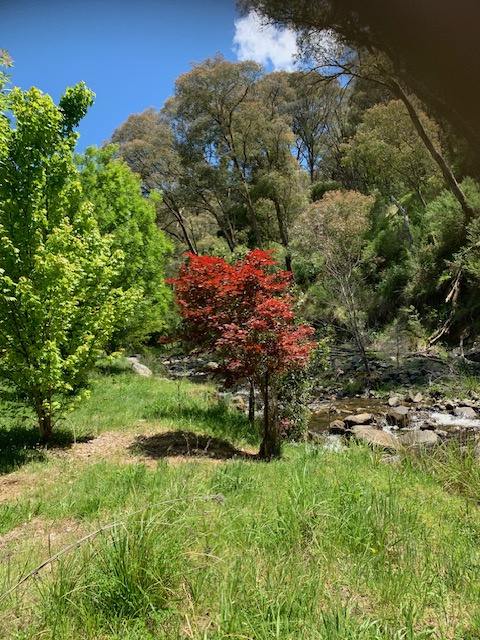 Part 1420 Goobarragandra Road, Tumut For Sale by Farmbuy.com - image 9