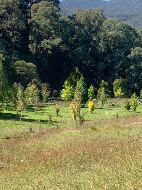 Part 1420 Goobarragandra Road, Tumut For Sale by Farmbuy.com - image 11