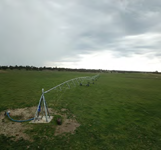 394 Coombe Road, Tintinara For Sale by Farmbuy.com - image 5