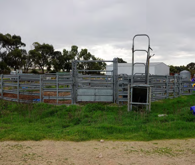 394 Coombe Road, Tintinara For Sale by Farmbuy.com - image 4