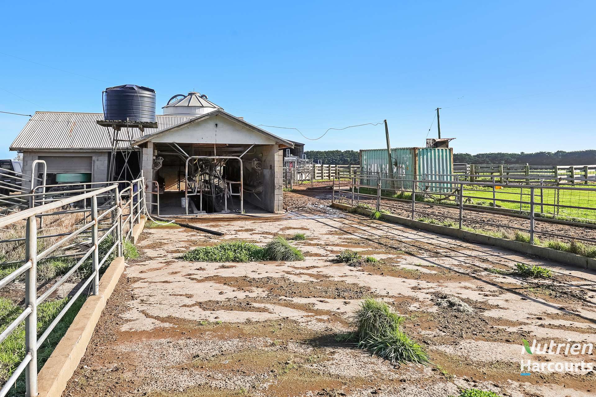 30 Squibbs Road, Timboon Tender by Farmbuy.com - image 14